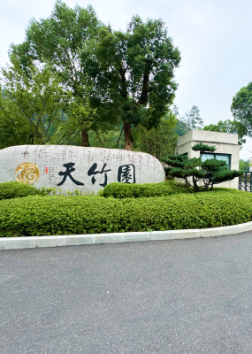 环境清幽